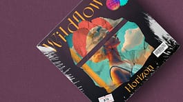 album cover wildflower