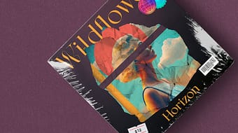 album cover wildflower